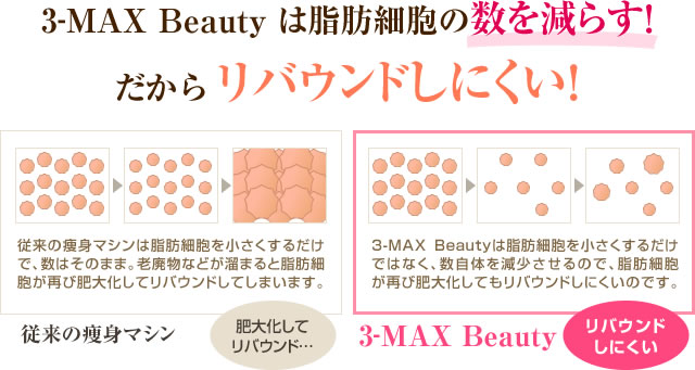 3-MAX Beauty は脂肪細胞の数を減らす！だからリバウンドしにくい！